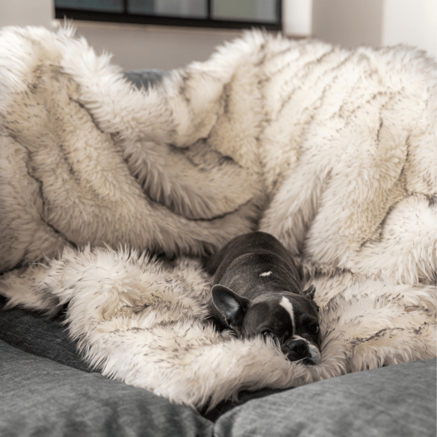 CozyBed™ Waterproof Throw Blanket