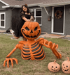 Ground Breaking Pumpkin Skeleton