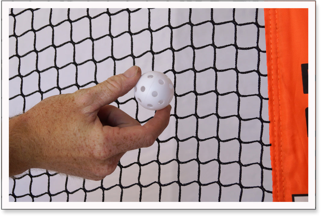 Big Mouth Wiffle Training Net