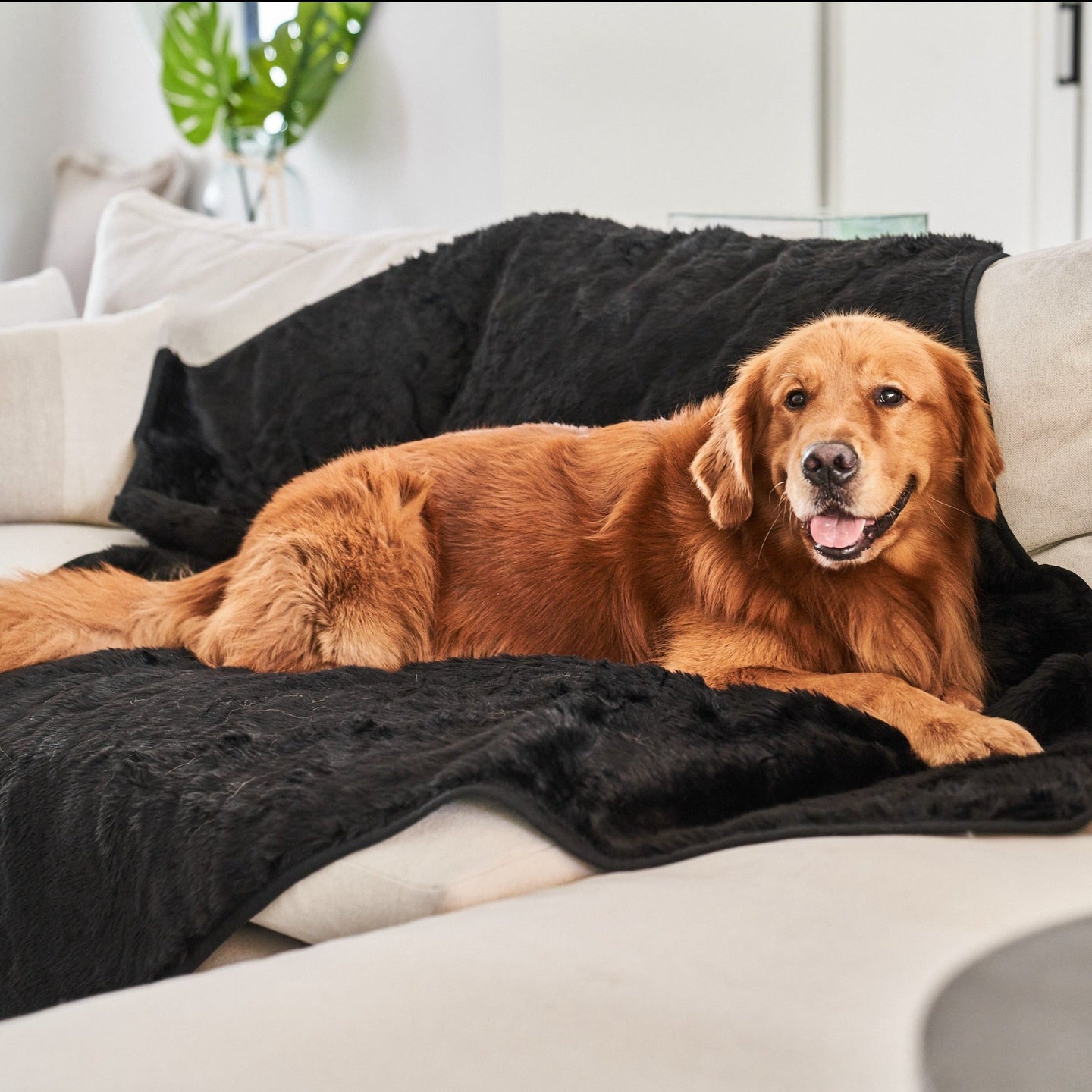 CozyBed™ Waterproof Throw Blanket